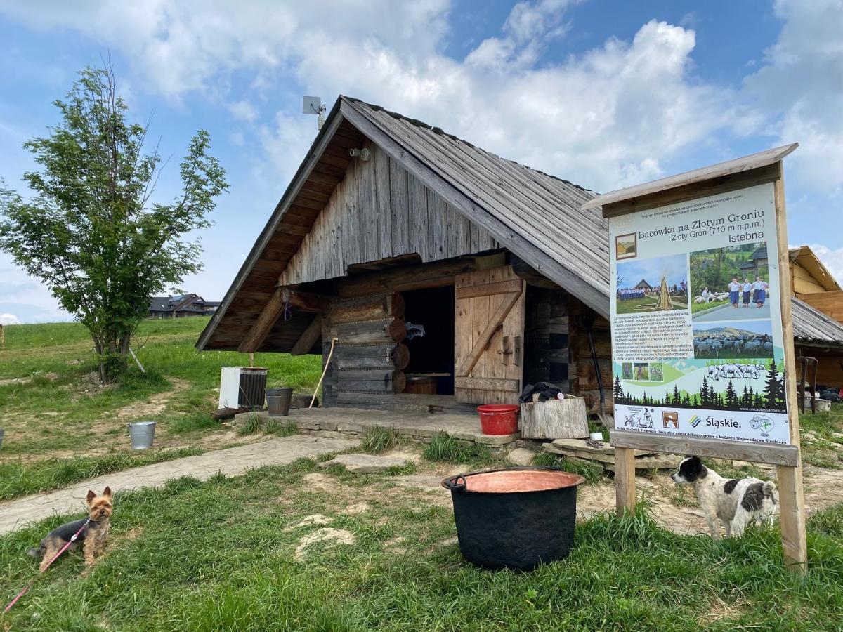 Zloty Gron Log Houses & Apartments Istebna Buitenkant foto