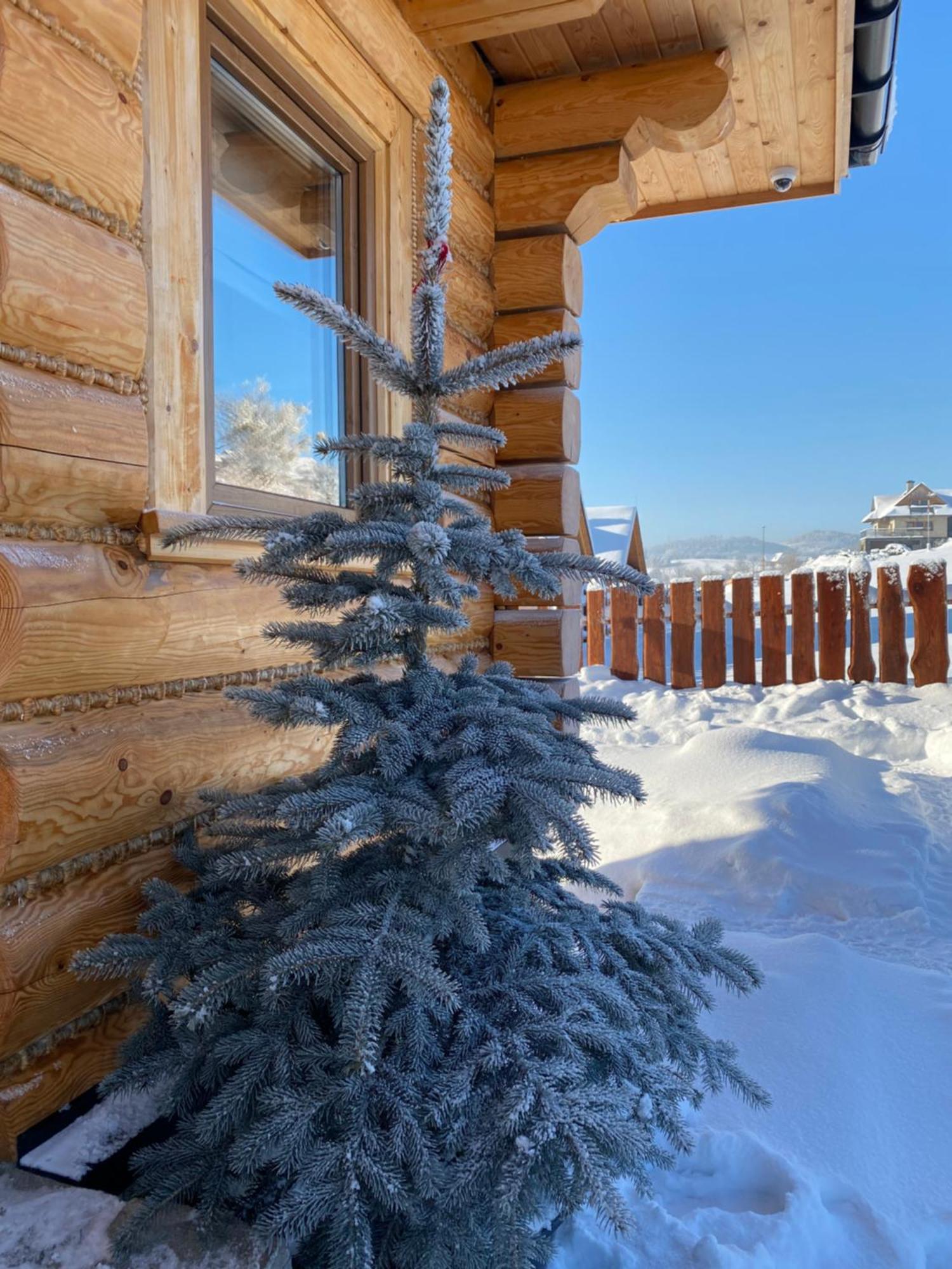 Zloty Gron Log Houses & Apartments Istebna Buitenkant foto